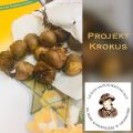 Projekt Krokus, foto nr 4, 